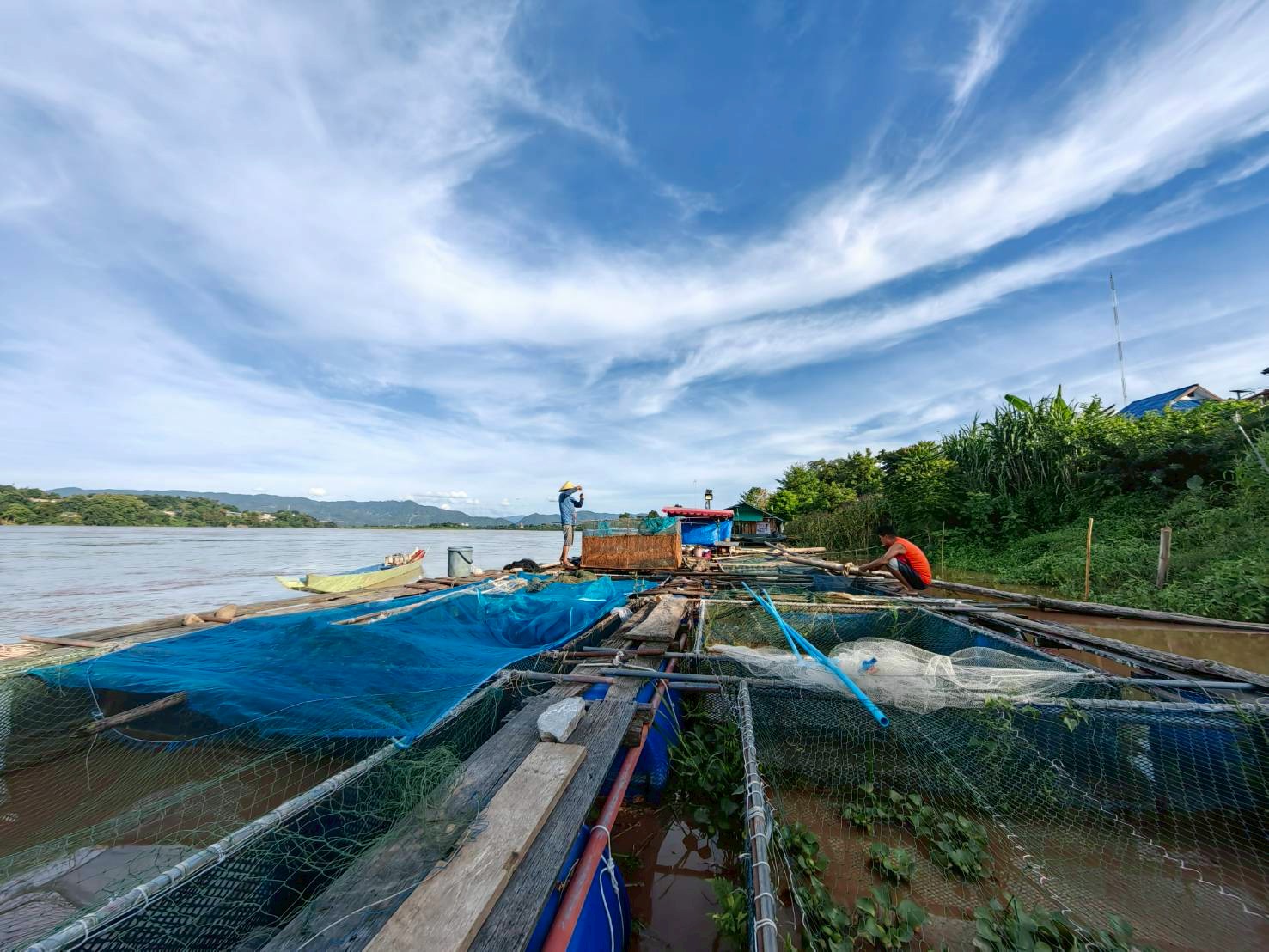Mekong River fish farming cage group